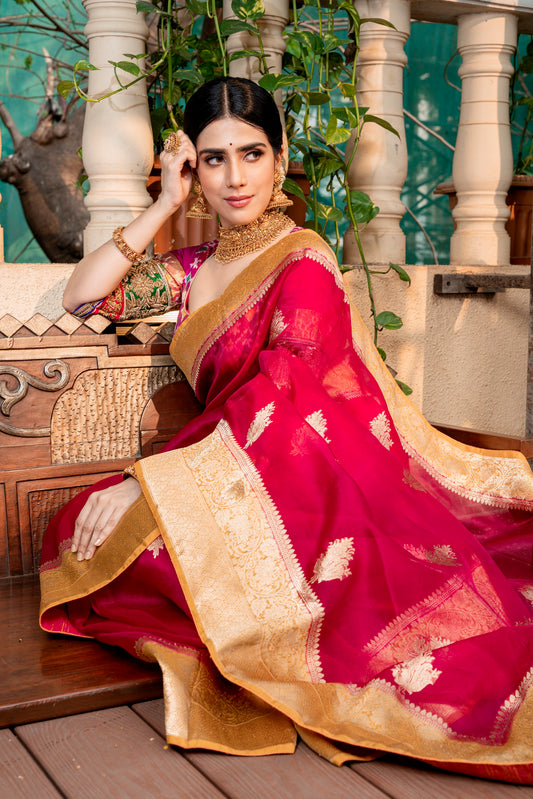 Banarasi Soft Organza Saree Set