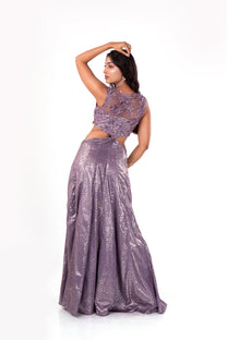 Detachable Mauve Gown