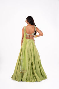 Banarasi Pastel Green Lehenga Set